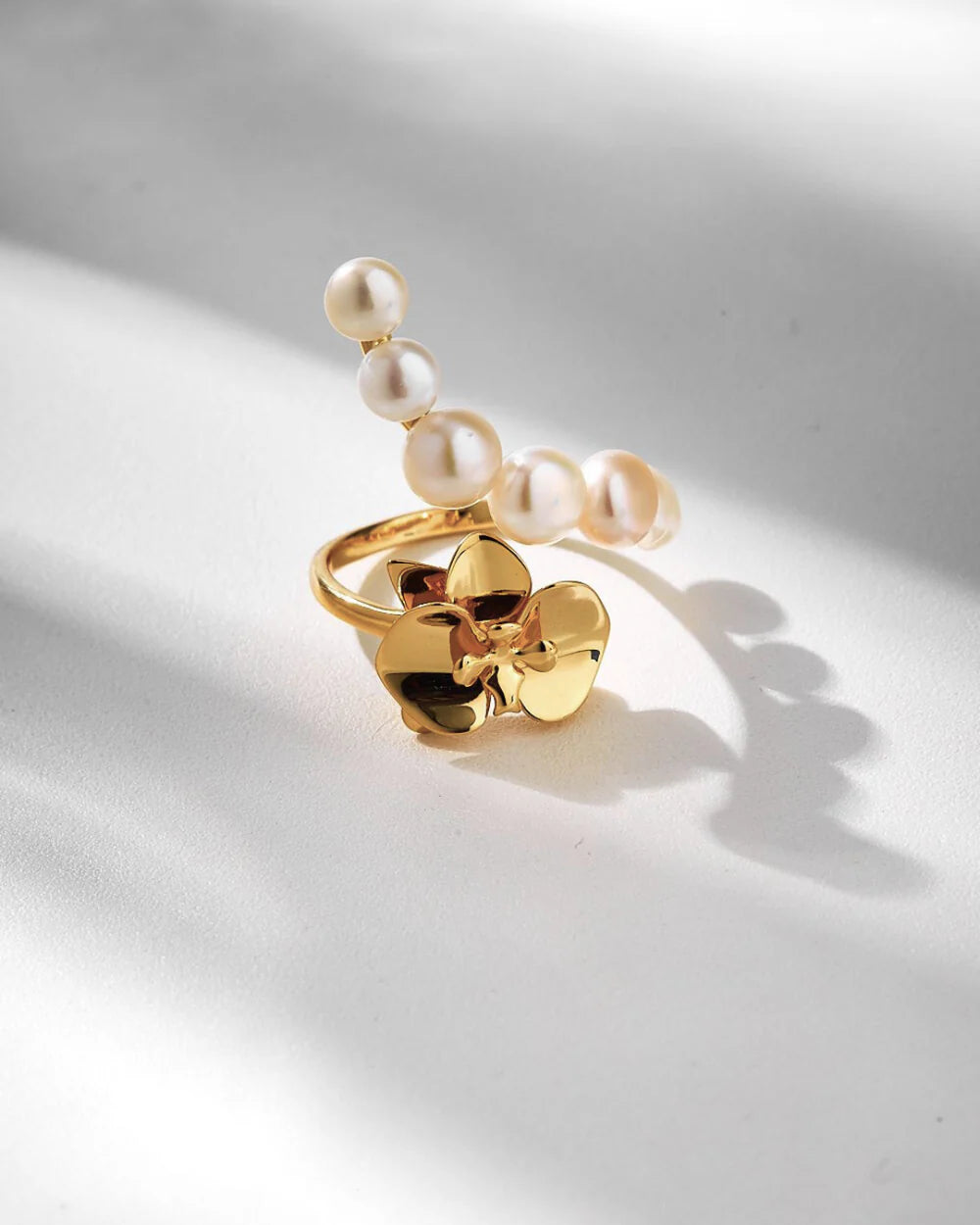 Orchidea anello Mabe