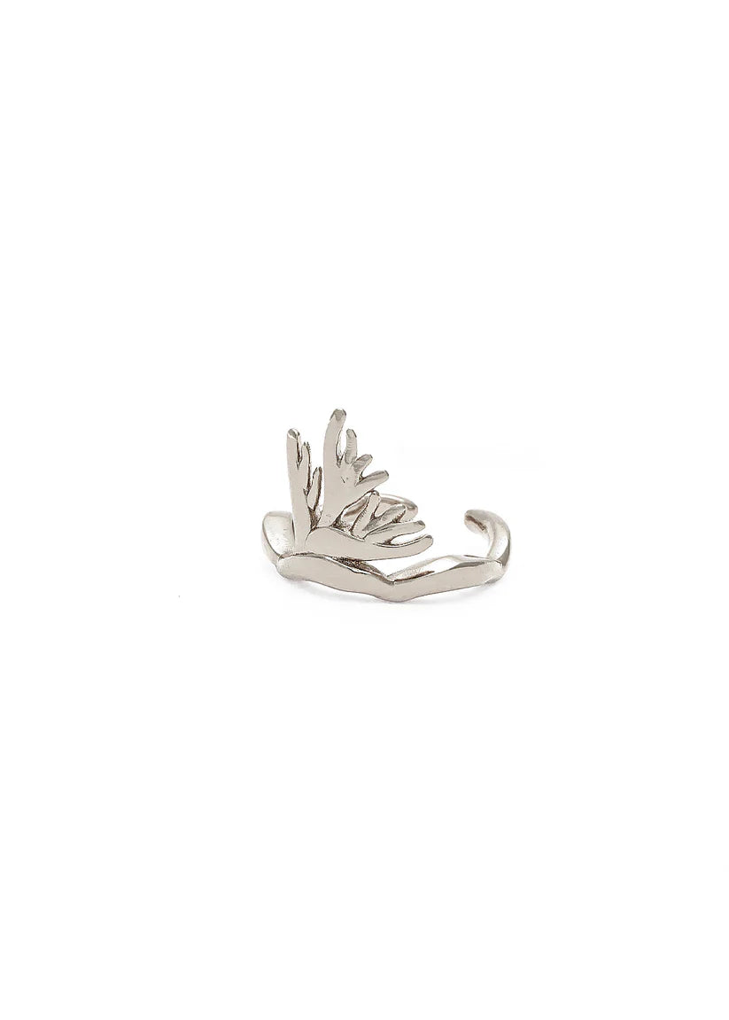 Anello vivaz mignolo