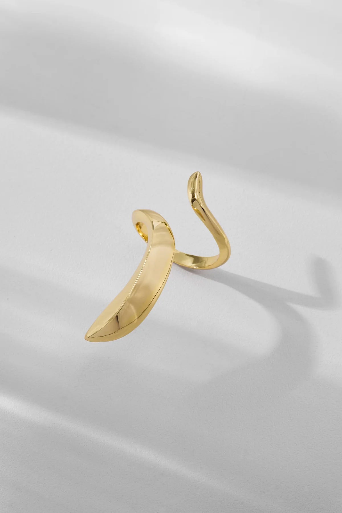 Anello Dualis Corpo e Alma