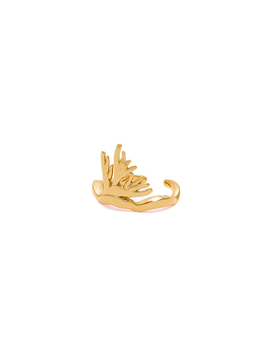 Anello vivaz mignolo