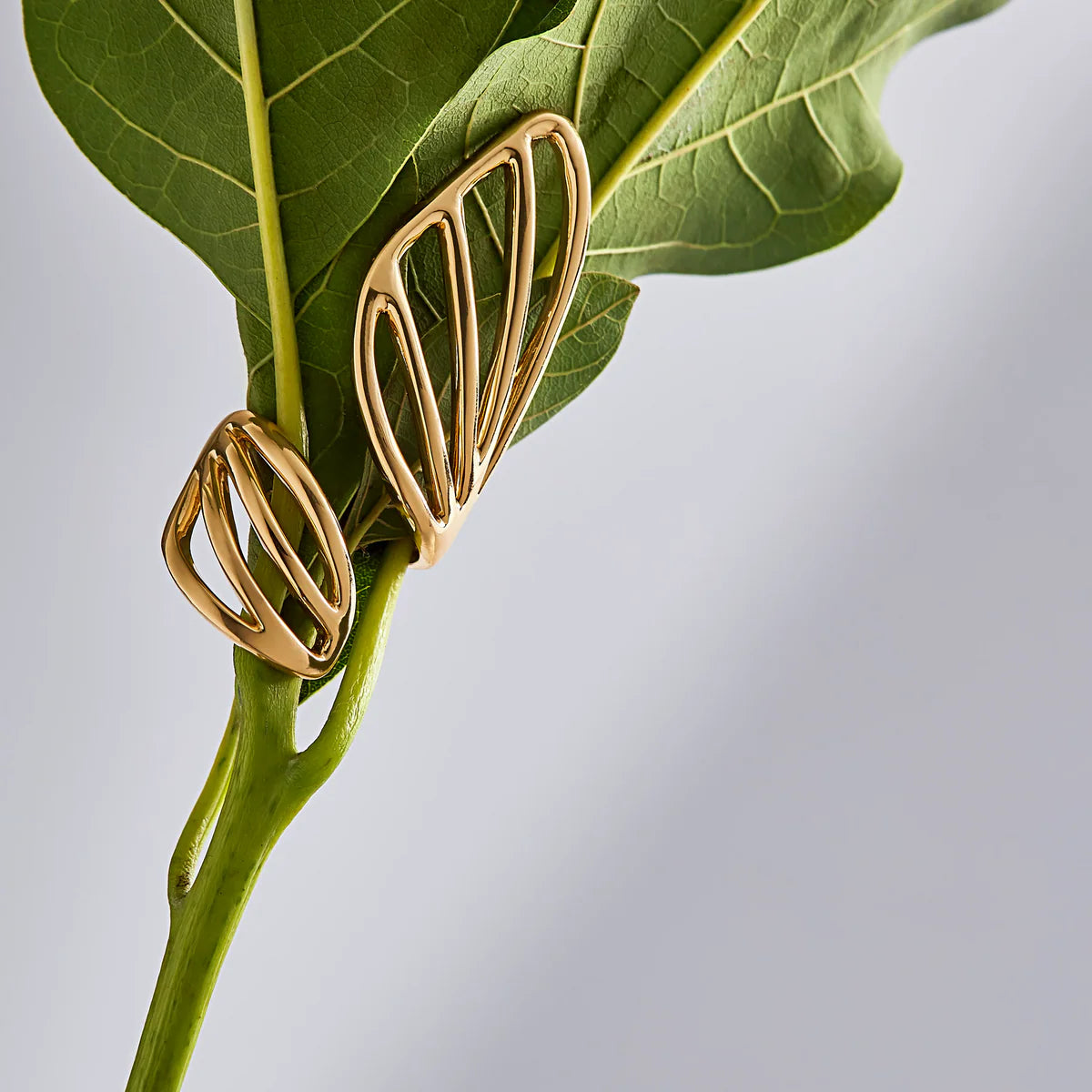Anello Íris