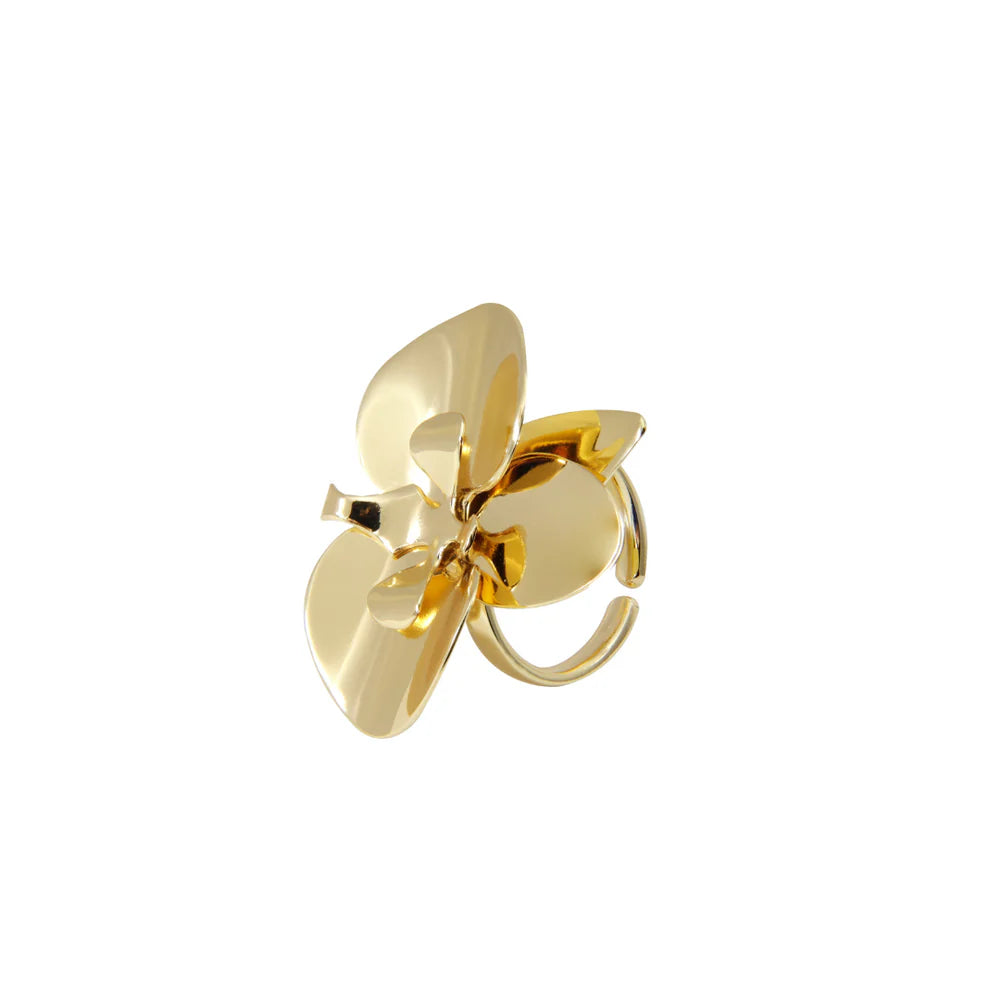 Anello Evolua