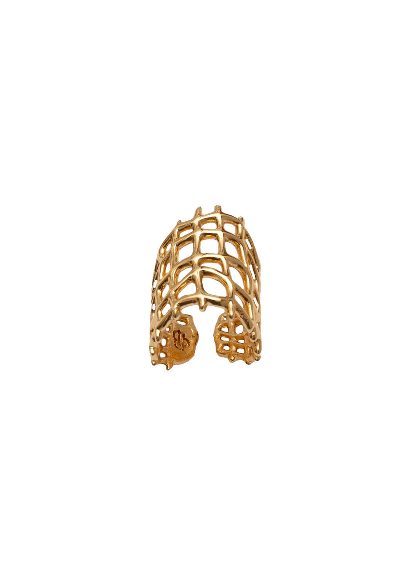 Anello autentica